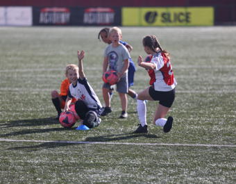 SOCIAL + WEB 1K9A1546