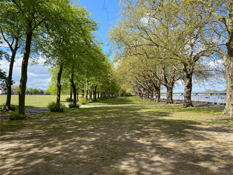 Wandsowrth Park Lifestyle