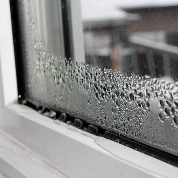 Condensation on a window