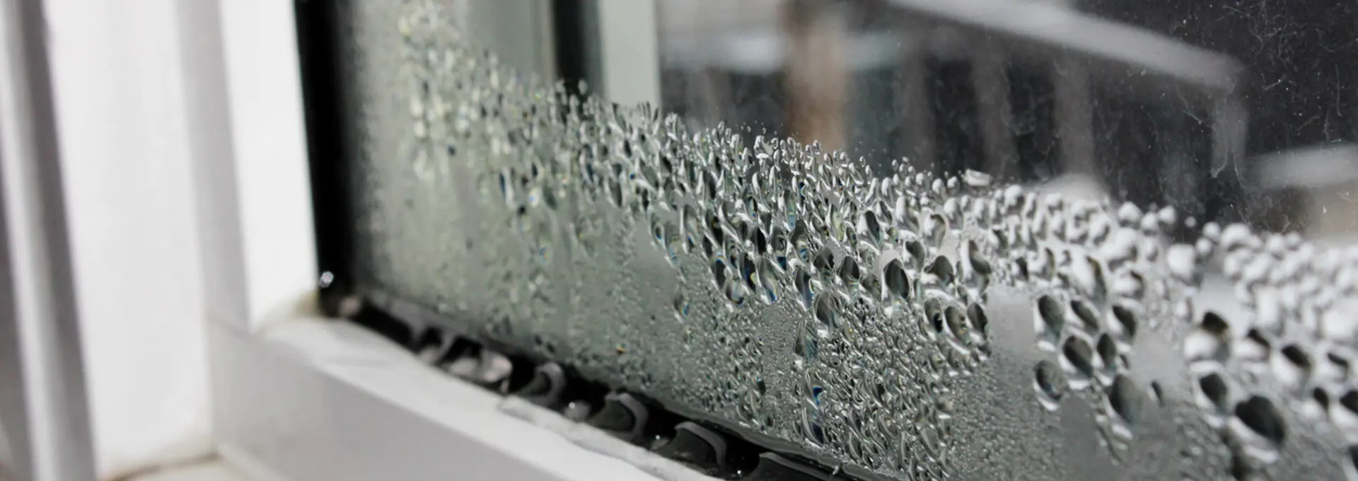 Condensation on a window