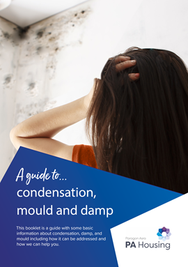 Condensation, damp and mould leaflet cover