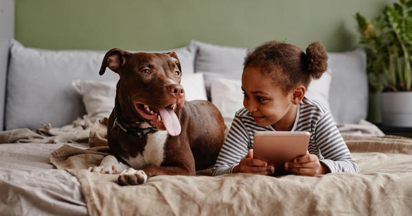 Dog And Child On Bed Stock