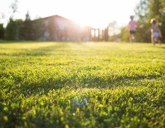 Lawn At Home Running Children In Blur On A Sunny Summer Day