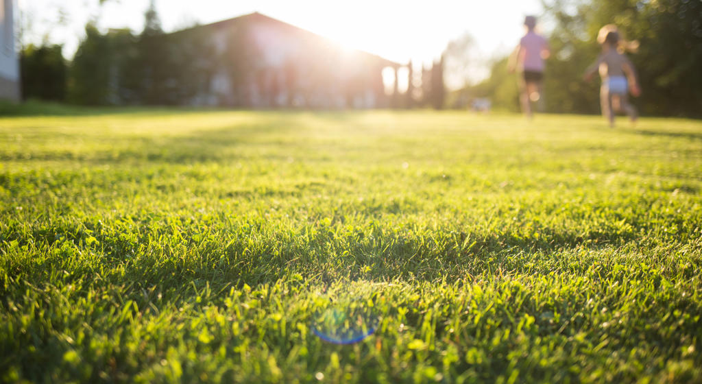 Lawn At Home Running Children In Blur On A Sunny Summer Day