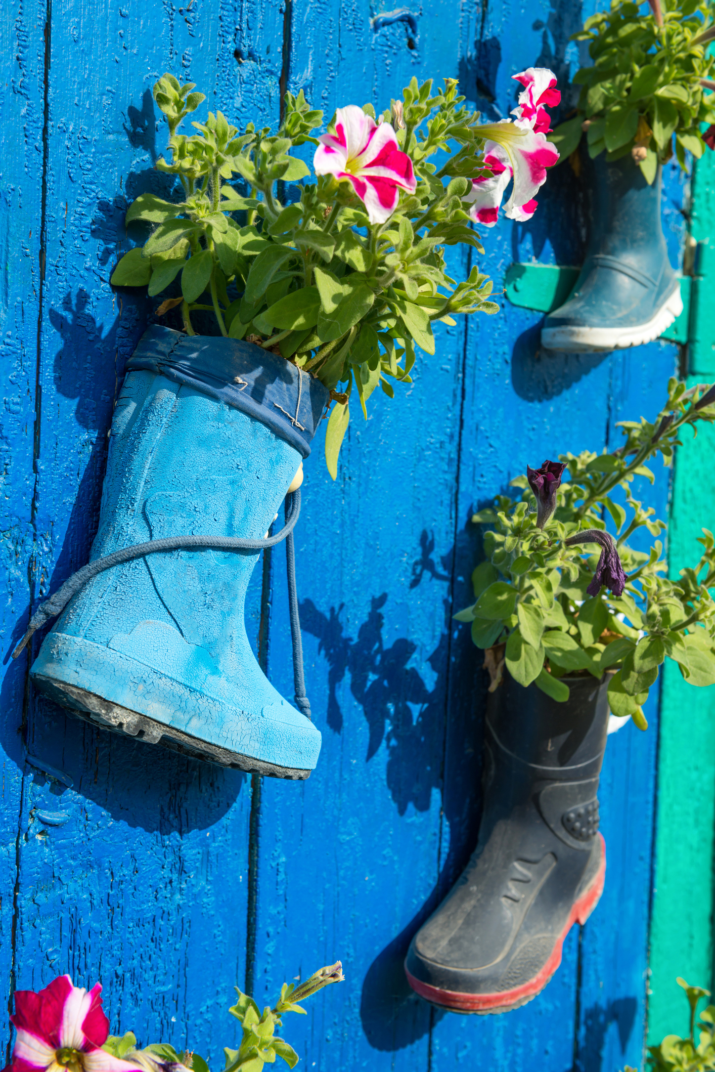 Old Rubber Boots With Blooming Flowers