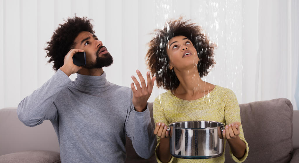 Woman Using Utensil For Collecting Water Leaking From Ceiling
