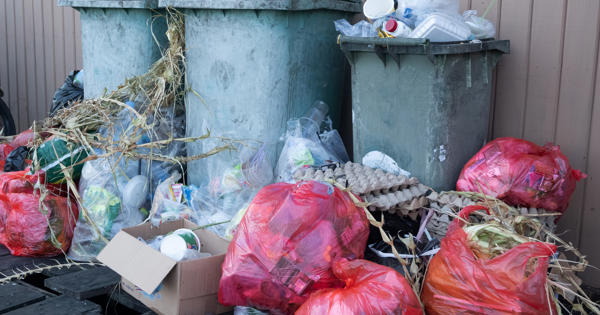 Overflowing wheelie bins and torn packs of rubbish on the street