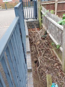 F3201686 E8f9 4141 Ae2a A0d9f23c800e