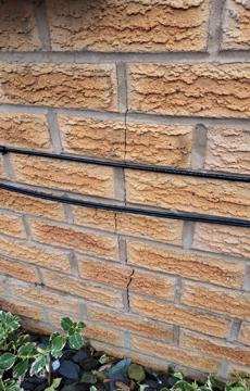 53288Screenshot 2024 12 30 152756