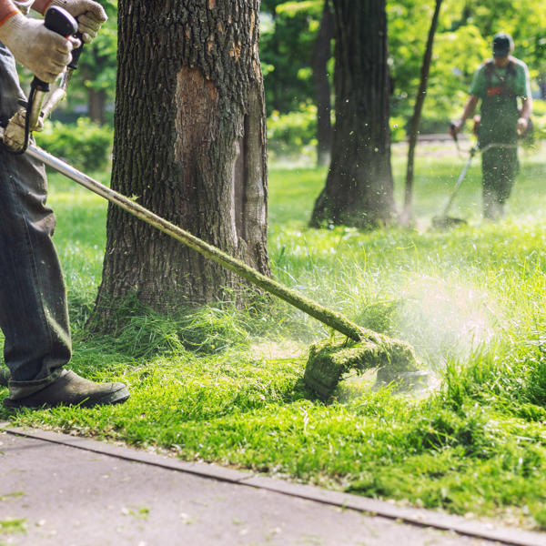 Worker Mowing Tall Grass With Electric Or Petrol Lawn Trimmer In City Park Or Backyard