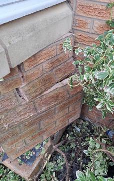 22746Screenshot 2024 12 30 152852