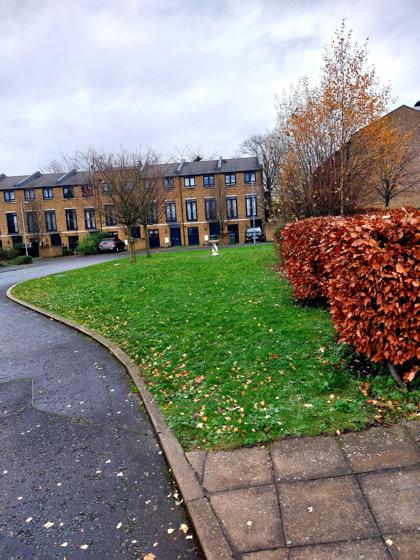 Government House Grounds 3