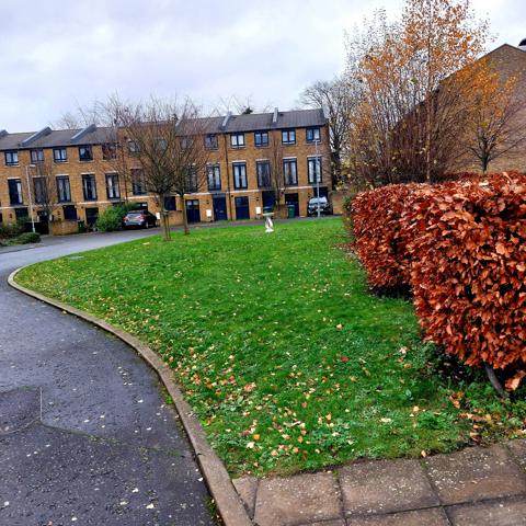 Government House Grounds 3