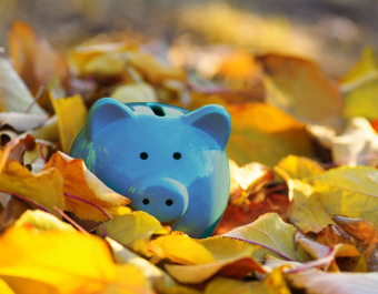 Blue Piggy Bank In Autumn Leaves On The Ground