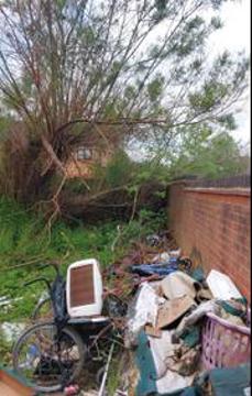 9804250 Ryder Road 5