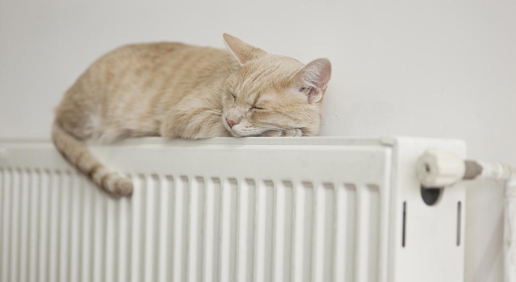 Ginger cat asleep on top of a radiator