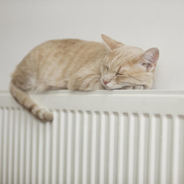 Ginger cat asleep on top of a radiator