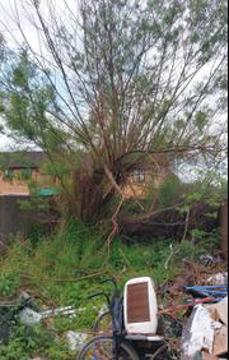 2907350 Ryder Road 4